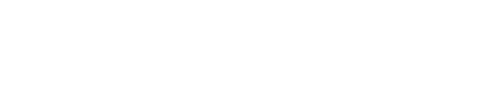 Bit Digital